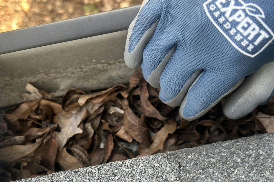 Gutter Cleaning Carrollton VA