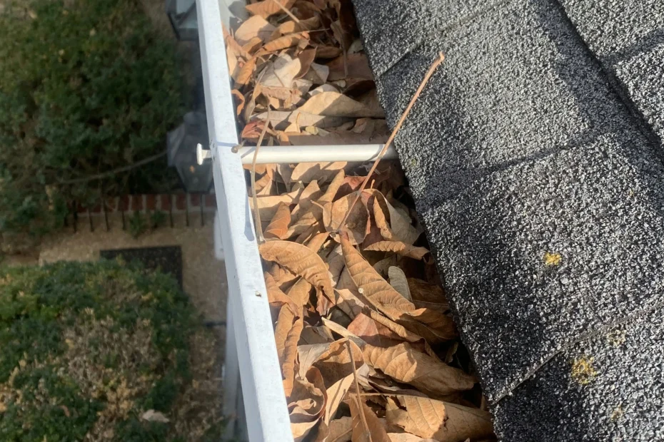 Gutter Cleaning Carrollton VA