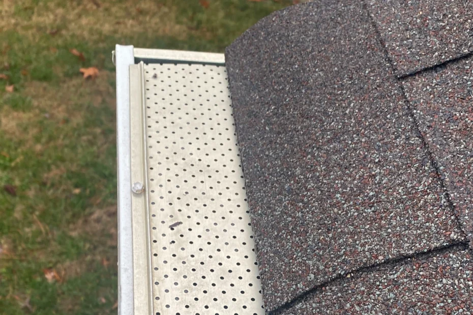 Gutter Cleaning Carrollton VA