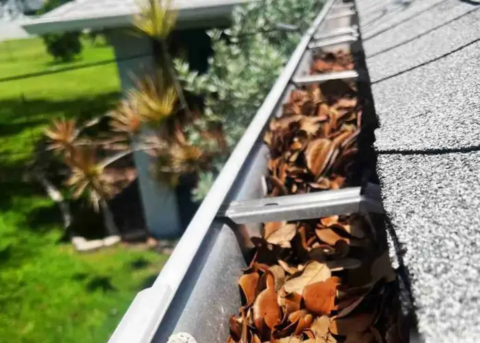 Gutter Cleaning Carrollton VA home page